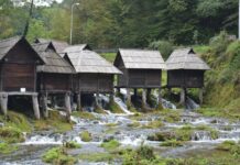 The People’s Plea and the Sultan’s Refusal