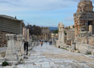 Sirventets Poetry as a Political Tool